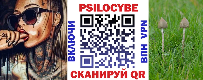 Галлюциногенные грибы мицелий  Николаевск-на-Амуре 