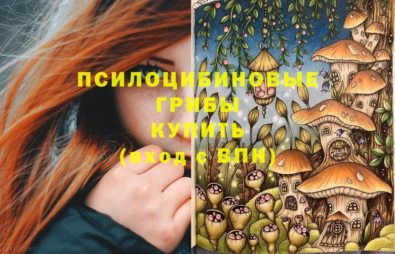 даркнет сайт  Николаевск-на-Амуре  Галлюциногенные грибы Psilocybe 