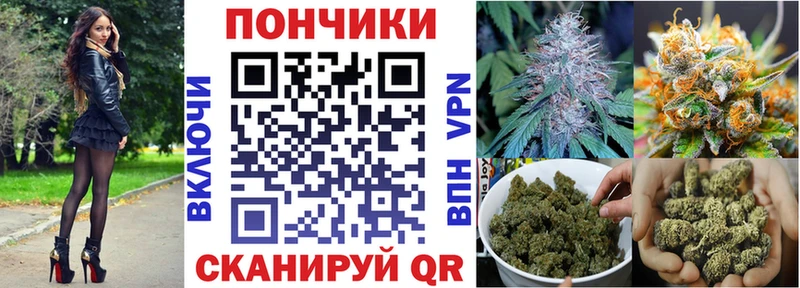 Бошки марихуана индика  продажа наркотиков  Николаевск-на-Амуре 